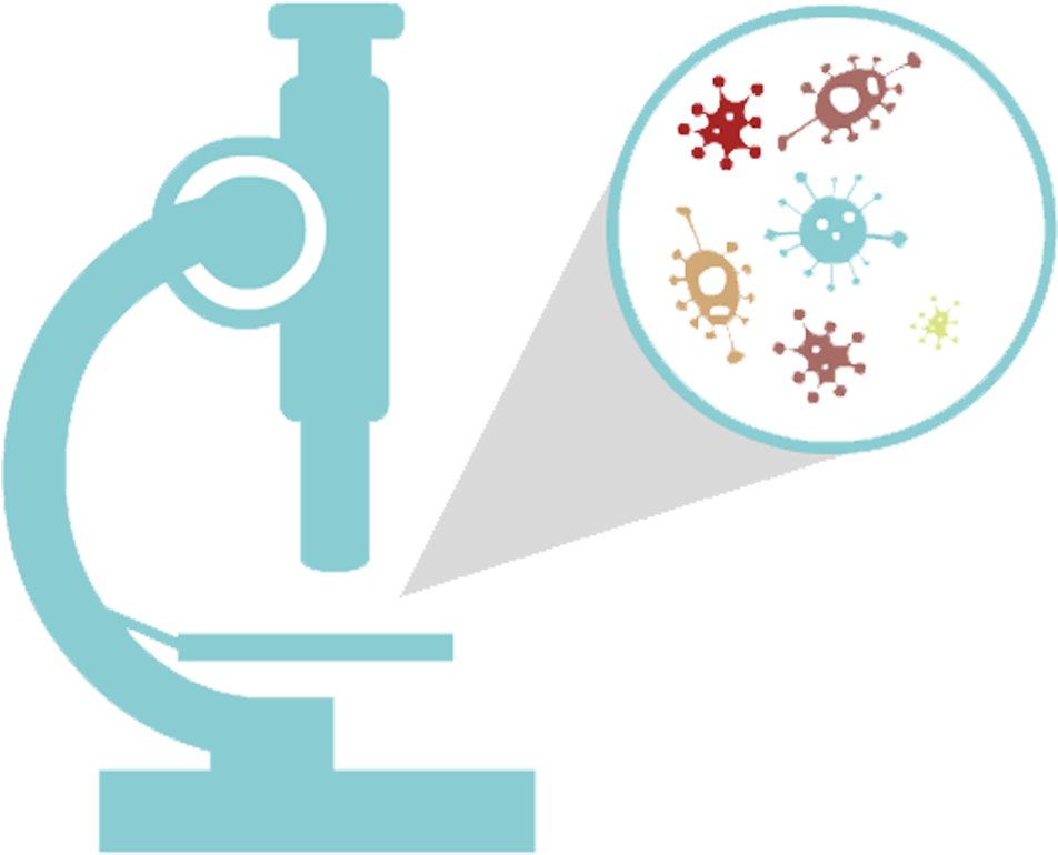 Clip Art Library Library Bacteria Vector Bacterial - Microscope Bacteria Clip Art (1044x885), Png Download