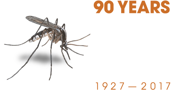 Mosquito (617x318), Png Download