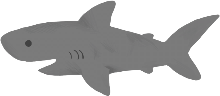 From Snakes To Cats - Great White Shark (900x900), Png Download