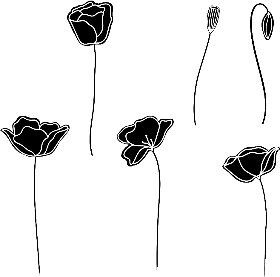 Black And White Hand Drawn Flower - Flores Branco E Preto (1024x1024), Png Download