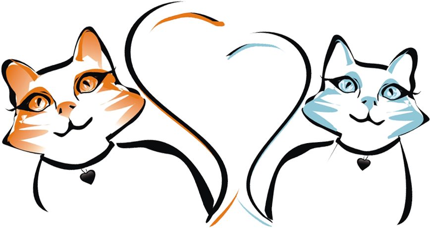 Feline Behavior Solutions - Kitty Illustrations (888x495), Png Download