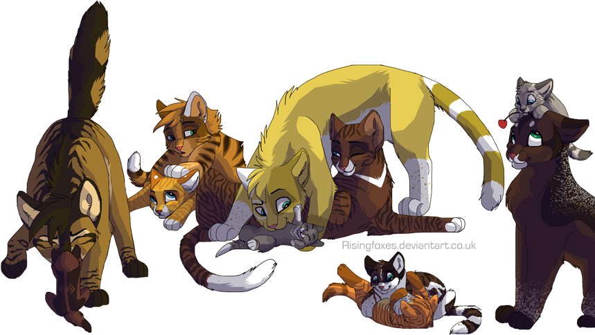 Forever Warriors Chats Images Warriors We Are Hd Fond - Warriors Cats Fan Art (876x500), Png Download