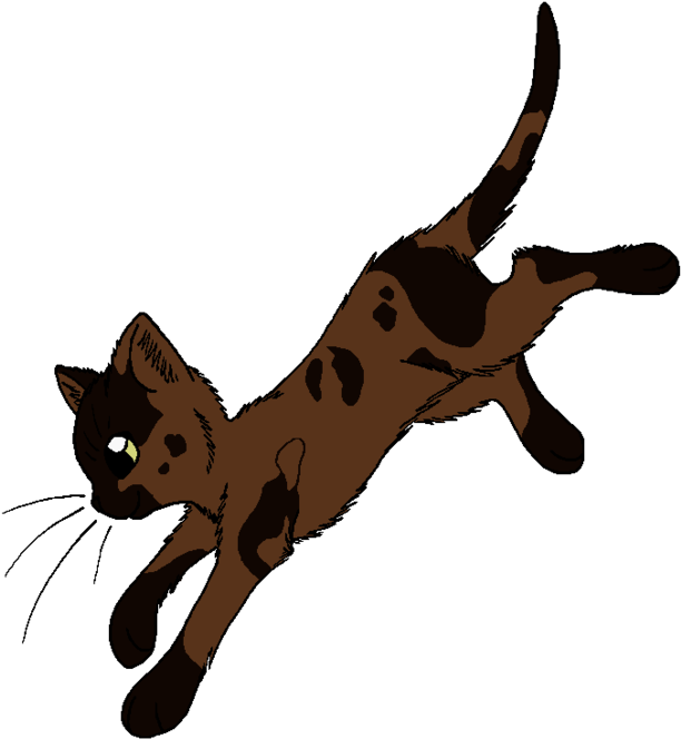 Beetle - Warrior Cats Dawn Of The Clans Leaf (660x707), Png Download