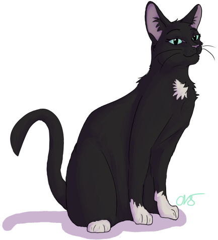 21 Moons Gender - Cat Yawns (500x517), Png Download