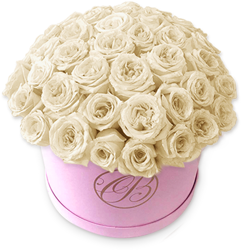 Caja Redonda De Rosas Blancas - White (600x600), Png Download