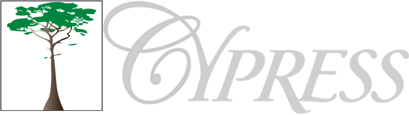 Cypress P & C And Cypress Texas Insurance Company Have - Cypress Insurance Logo (818x233), Png Download