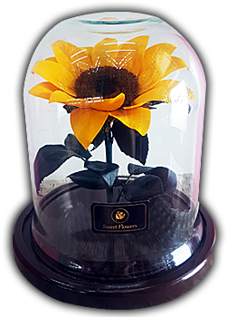 Flower (450x350), Png Download