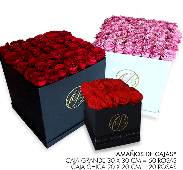 Caja Cuadrada De Rosas Lila - Garden Roses (600x600), Png Download