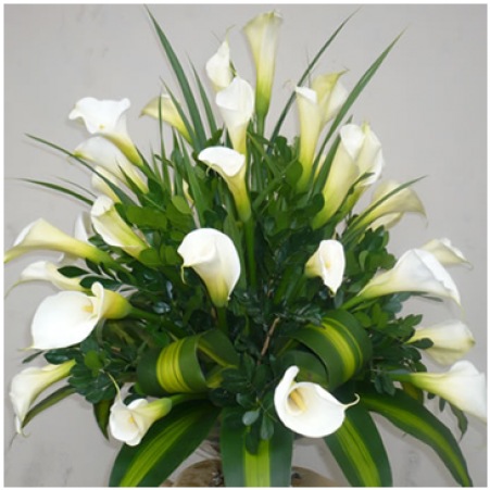 Floral Alma Blanca - Arreglos Florales Con Calas (600x450), Png Download