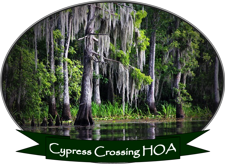Home - Louisiana Bayou (927x676), Png Download