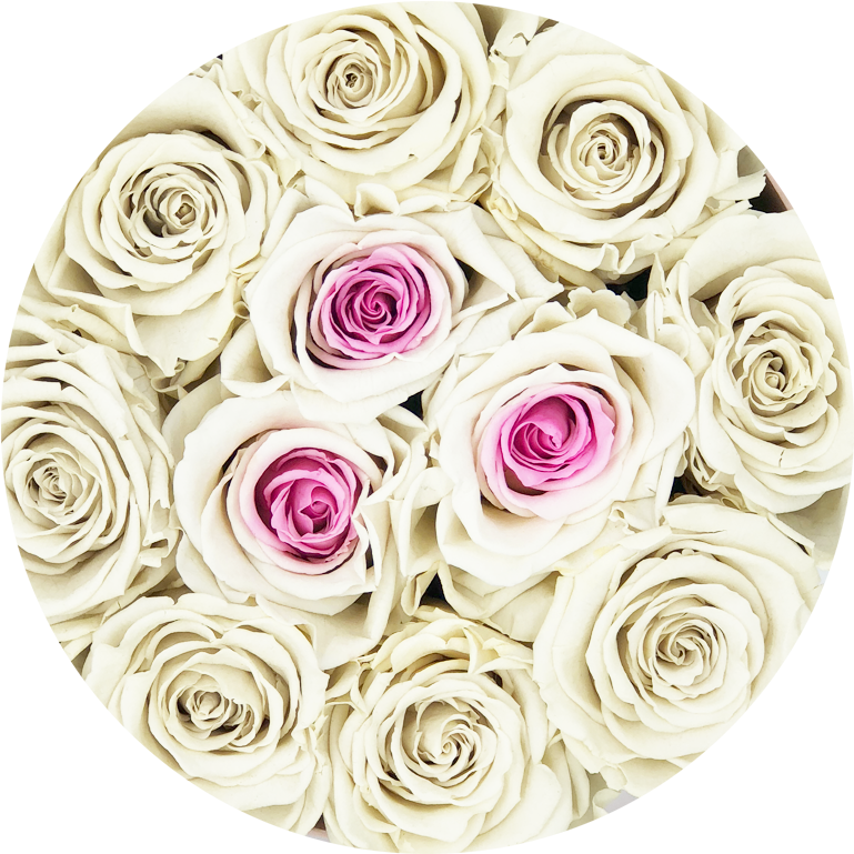 Rosas Blancas Png (768x850), Png Download