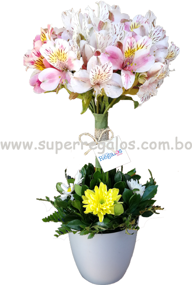 Arreglos Florales Envió De Flores, Desayunos Y Regalos - Peruvian Lily (720x660), Png Download