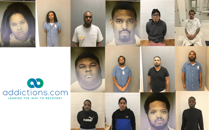 16 Arrested In Hudson Valley Cocaine Ring Bust - Hudson Valley (730x456), Png Download