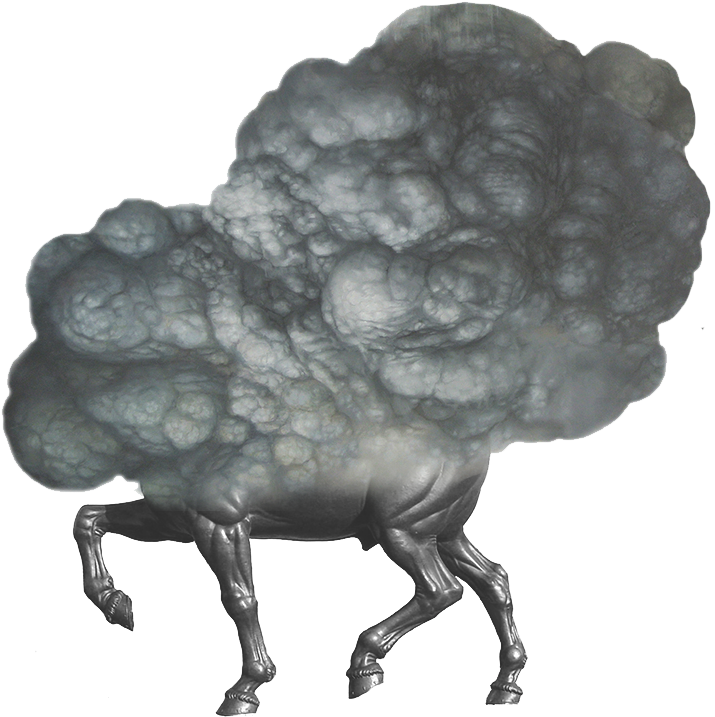 Exploding Horse Transparent - Horse (988x906), Png Download