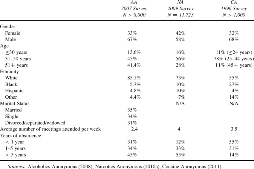 Demographic Information, Average Meeting Attendance, - Alcoholics Anonymous Demographics (850x567), Png Download