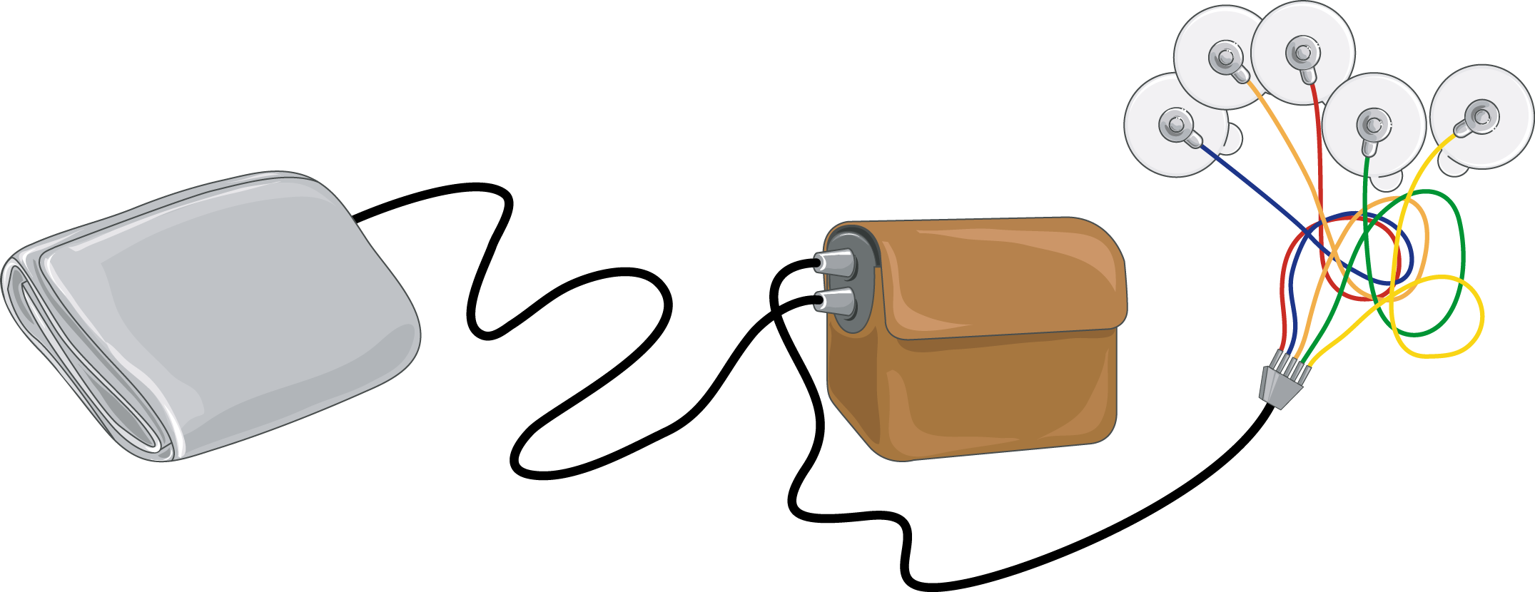Holter (2151x830), Png Download