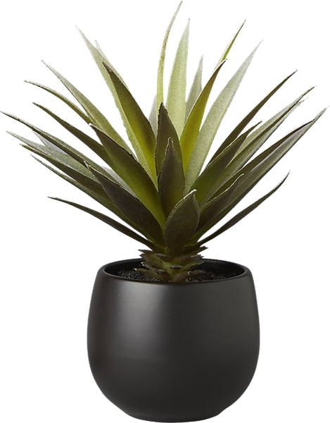 Loly (469x600), Png Download