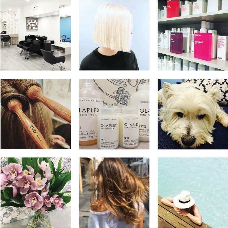 Template For Collage - Collage (828x828), Png Download