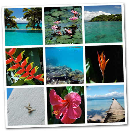 8" X 8" Collage - Creative Arts (900x480), Png Download