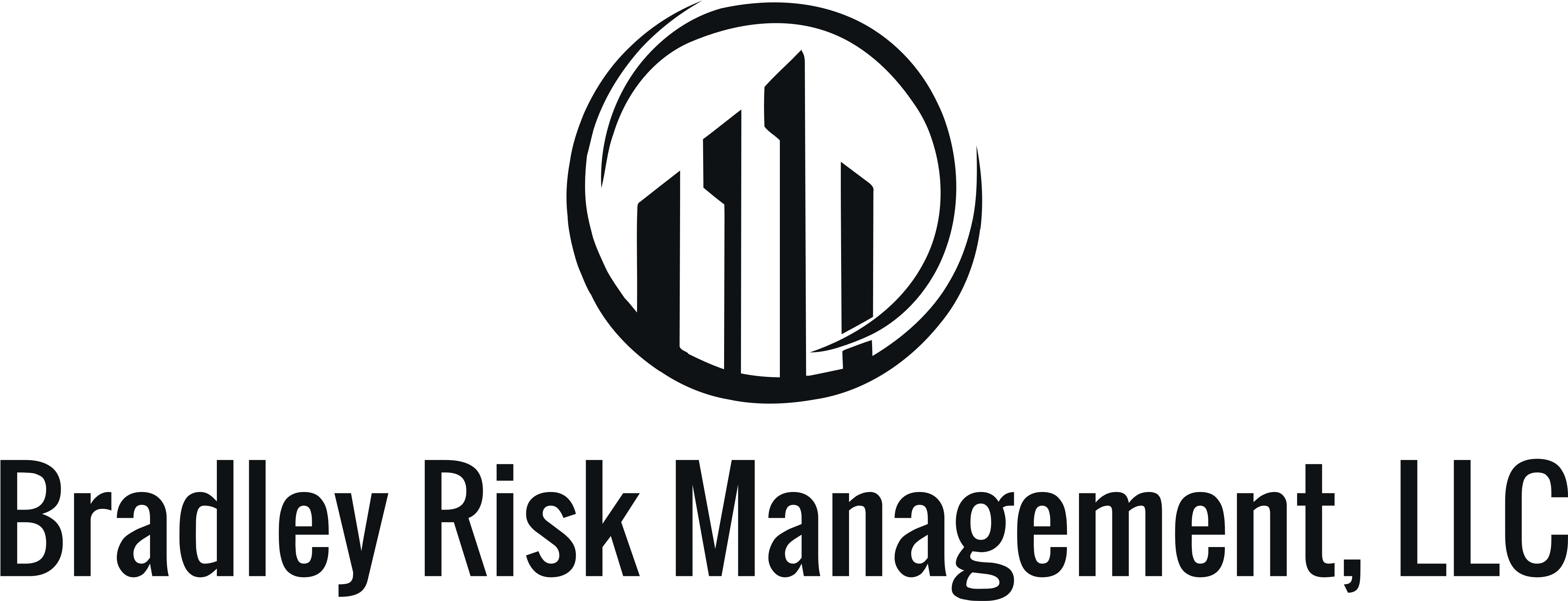 Bradley Risk Management - Administrative Law For Public Managers (ebook) (5000x2162), Png Download