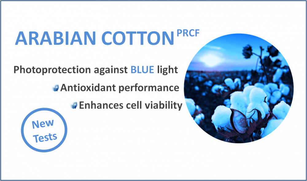 Blue Light Photoprotection - Photoprotection (1000x590), Png Download