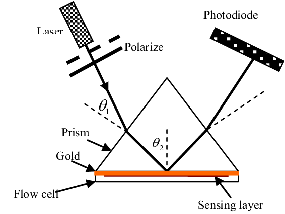 Spr Setup Consists A Laser, A Chopper, A Polarizer, - Laser (606x437), Png Download