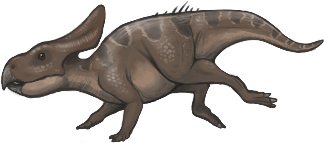 Protoceratops Andrewsi Restoration (1146x565), Png Download
