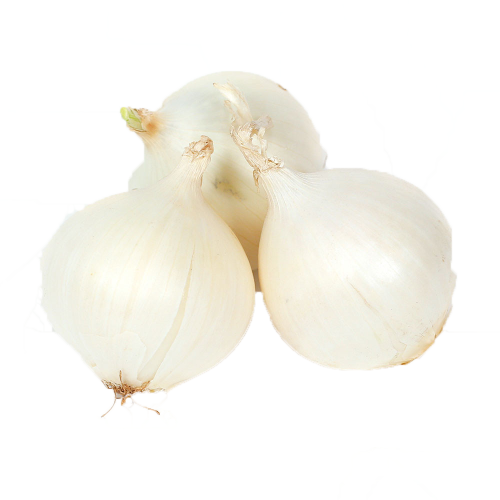 White Onions - Garlic (500x500), Png Download