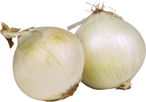 New Onions (500x350), Png Download