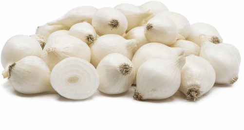 Onion (500x500), Png Download