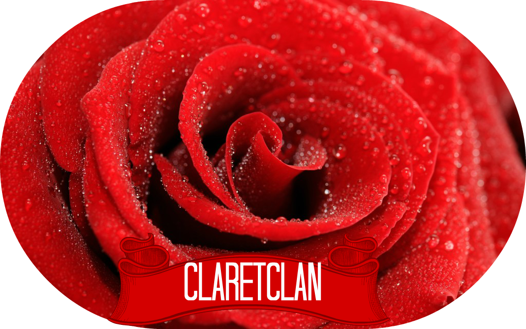 Rose Background Wallpaper 1 - Rose (1024x640), Png Download