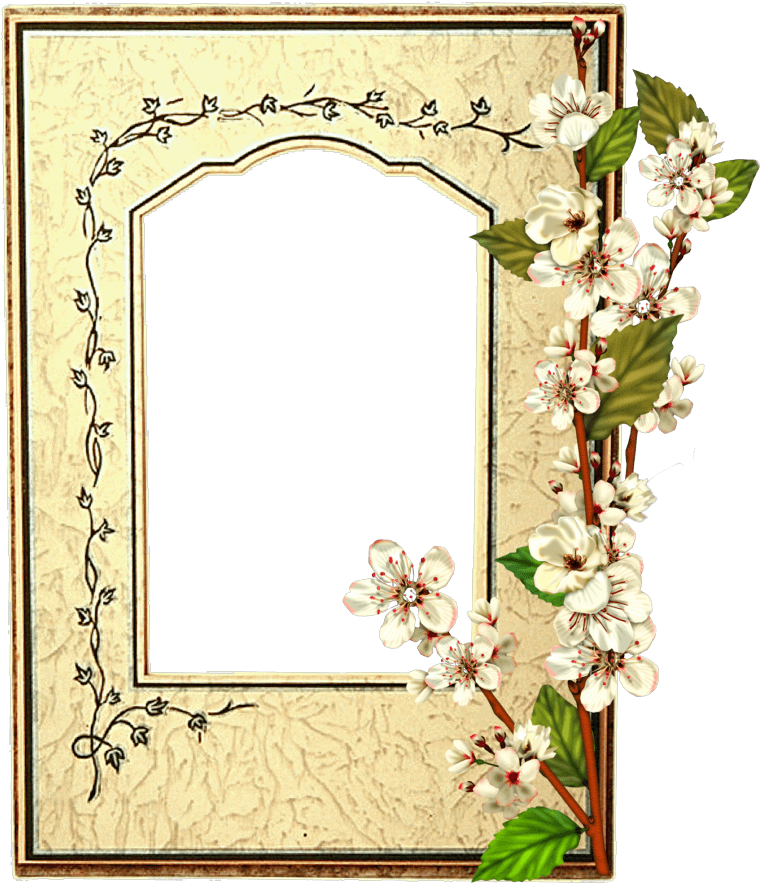Marco De Foto Flores Blancas - Marco De Fotos Primera Comunion (884x1000), Png Download