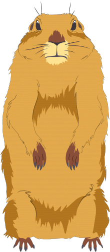 Dramatic Look Gopher - Dramatic Look Gopher South Park (239x504), Png Download