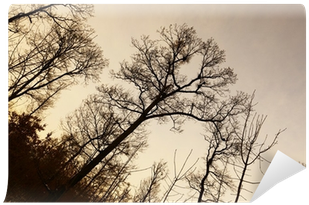 Stock Photography (400x400), Png Download