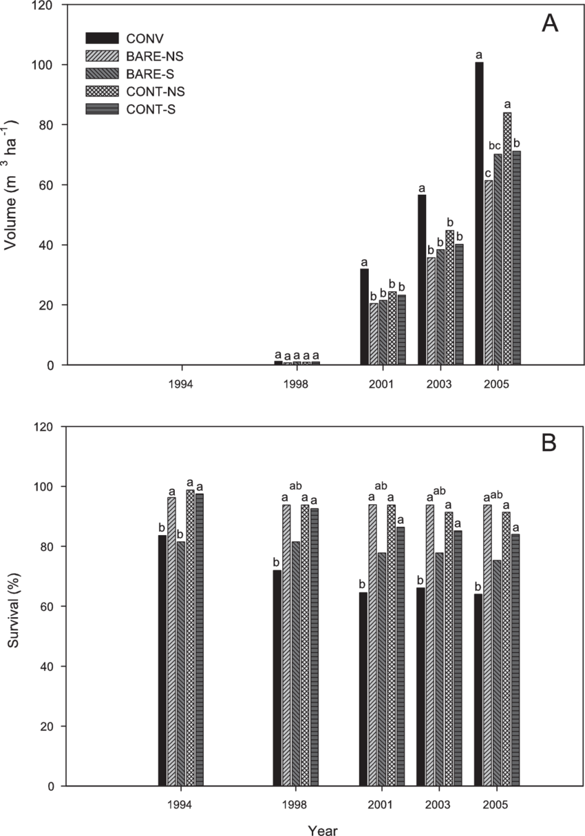 No Subsoiling , And Subsoiling (s) In A Loblolly Pine - Monochrome (850x1214), Png Download