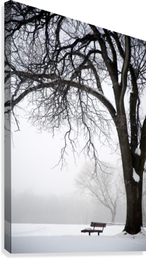 Assiniboine Park, Winnipeg, Manitoba, Canada - Great Big Canvas Keith Levit Poster Print Entitled (288x511), Png Download