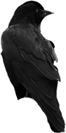 Bird Pngs - Raven (640x640), Png Download