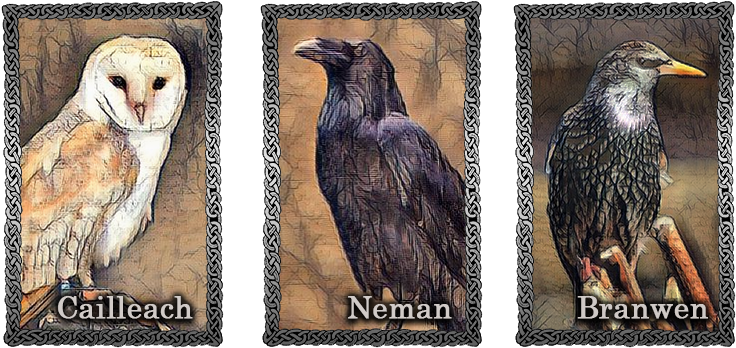 Raven-animalcompanions - Portable Network Graphics (752x358), Png Download