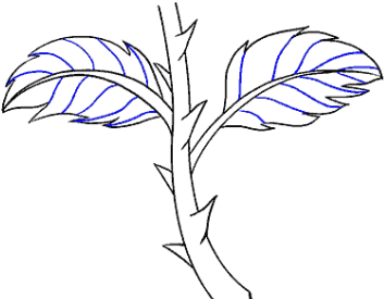 Drawn Rose Stem - Drawing (640x480), Png Download