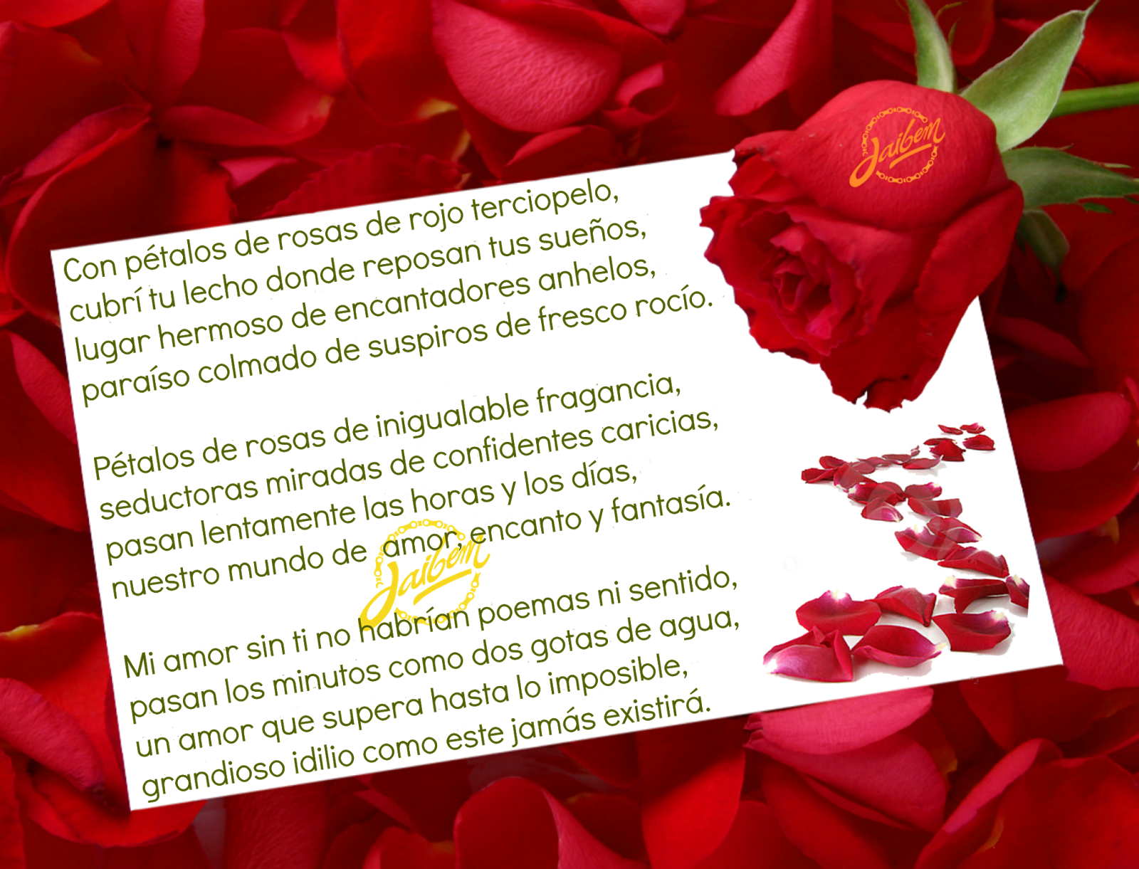 Entre Pétalos De Rosas - White Paper With Red Rose (1600x1221), Png Download