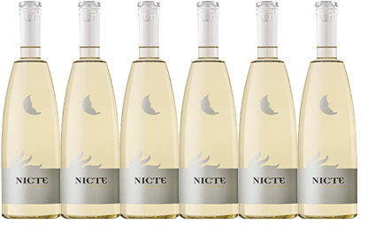 Añadir A Mi Lista De Deseos Loading - Nicte Pétalos De Rosa 2017 (500x500), Png Download