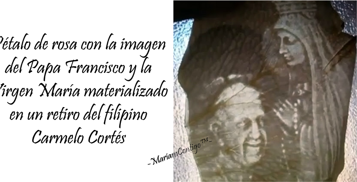 Late Ancestors Shower Curtain (1200x630), Png Download