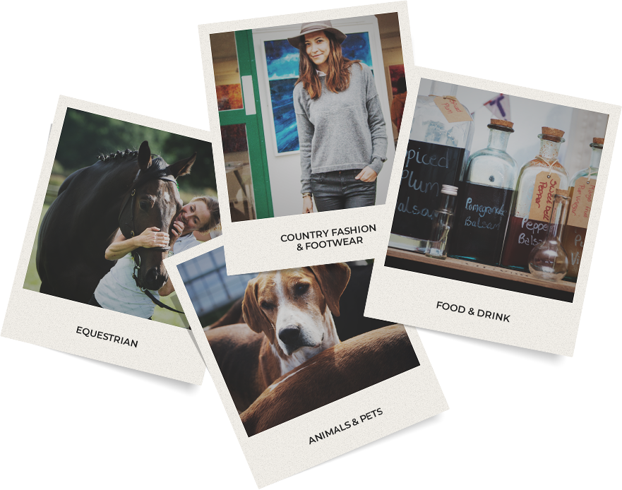 Shop Till You Drop - Treeing Walker Coonhound (881x694), Png Download