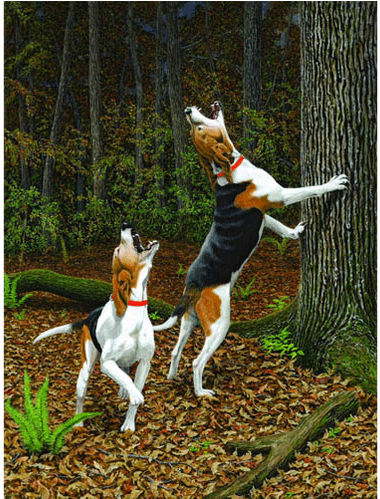 Walker Treeing (498x498), Png Download