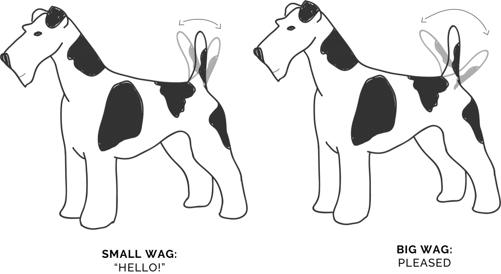 Wagging Tails - Movement - Ancient Dog Breeds (1024x561), Png Download