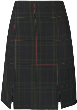 Pencil Skirt (509x677), Png Download