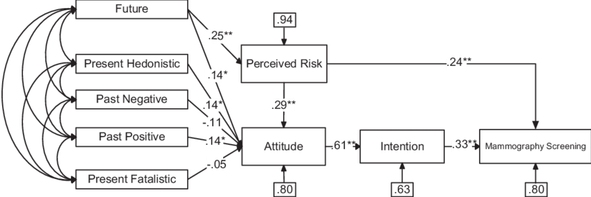 Proposed Model Including Time Perspective Dimensions, - Diagram (850x284), Png Download