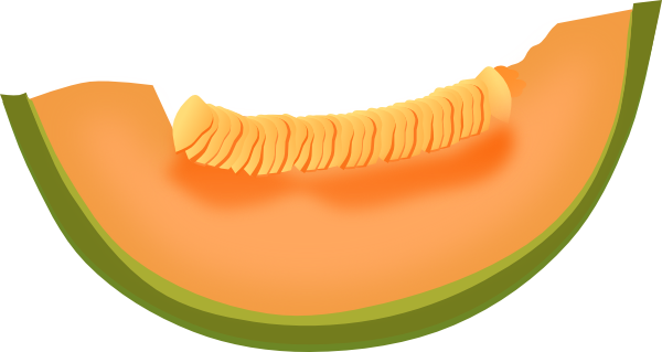 Cantaloupe - Cantaloupe With Transparent Background (600x319), Png Download