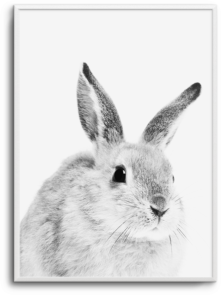 Baby Bunny - Cushion Co - Rabbit Brown Pillow 16" X 12" (937x1181), Png Download