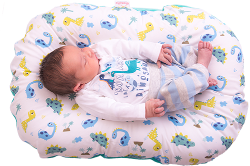 Baby Sleep In Pod Image - Baby (500x331), Png Download
